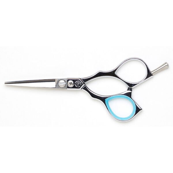 Professional Hair Scissors